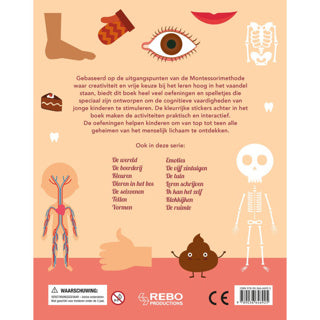 Rebo Publishers Human Body Leukste -Übungsbuch neu