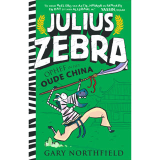 Buch Julius Zebra 5 Aufregung im alten China