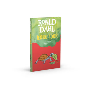 Buch Roald Dahl Ieorg Idur