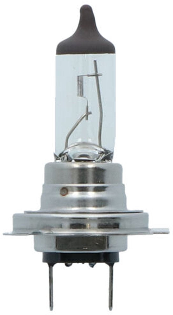 Carpoint Premium Autolampe H7 12V 55W - helles Licht - energieeffizient - universell einsetzbar