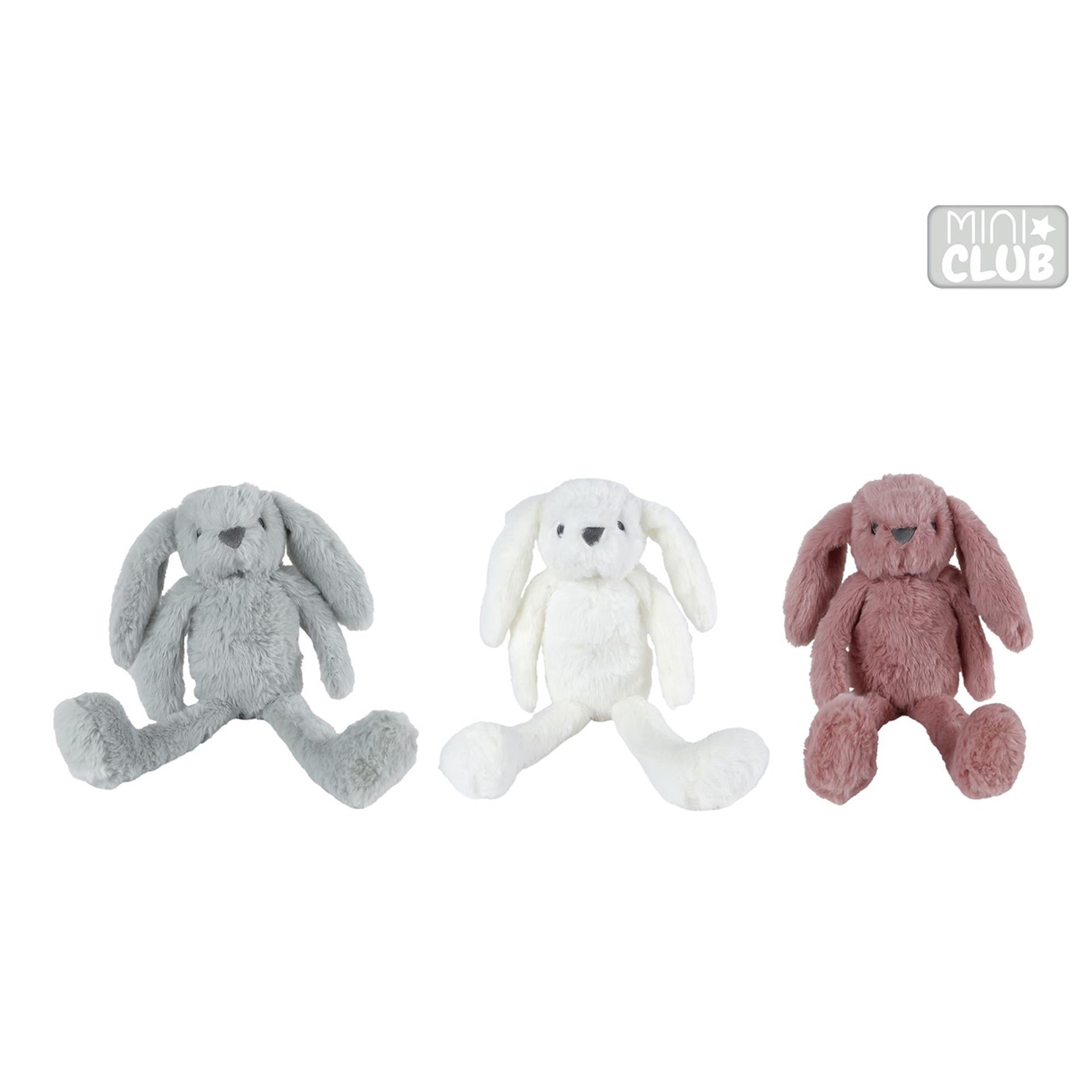Miniclub