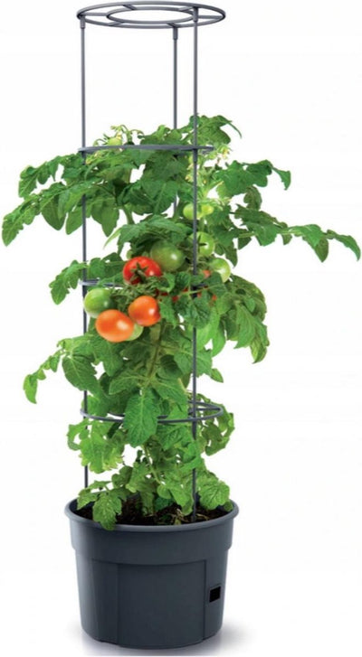 Prosperplast frostbeständiger Tomatentopf Tomatenzüchter ipom300