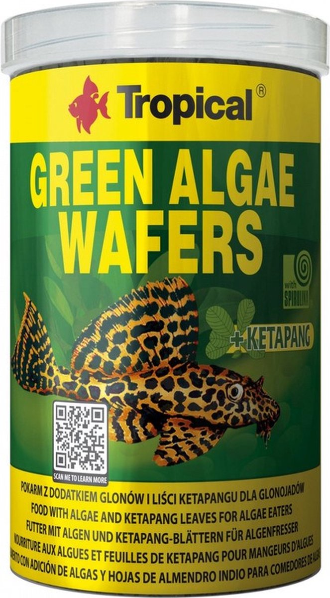 Markenlos sans marque tropische grüne Algenwaffeln - 250ml