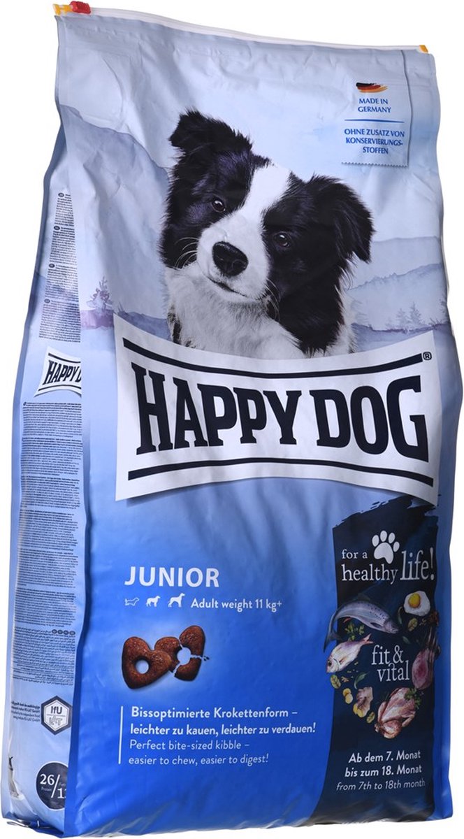 Glücklicher Hund