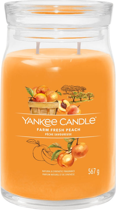Yankee Candle – Duftkerze „Farm Fresh Peach“ im großen Glas – 90 Brennstunden – zwei Dochte