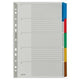 Tabs Leitz Grau A4 160 g m² farbige Tabs