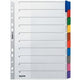 Tabs Leitz 43210000 grau, 1 Satz