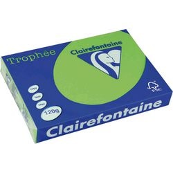 Clairfontaine Papier 1293C A4 120g grün