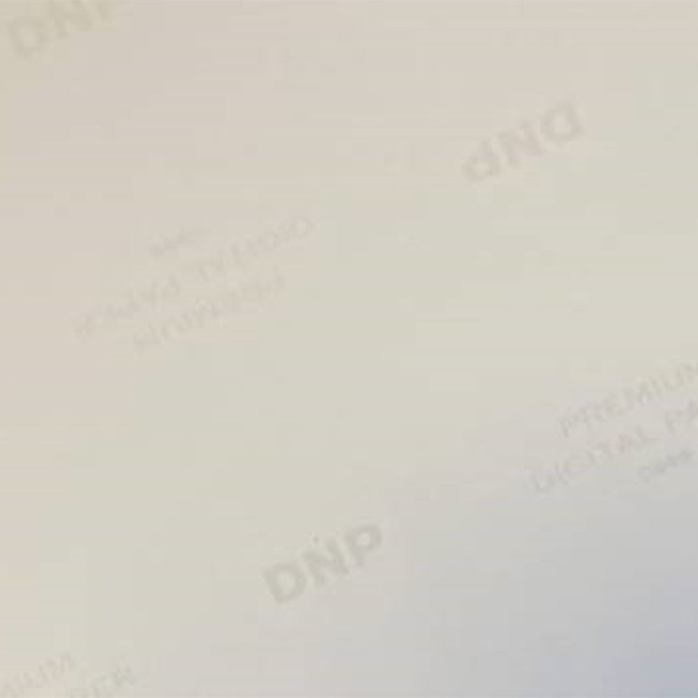 DNP-Standardpapier DSRX1HS-4X6 2 ROLLE � 700 St. 10x15 für DS-RX1HS