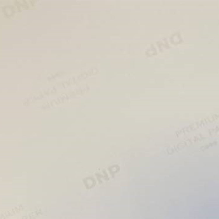 DNP-Standardpapier DSRX1HS-4X6 2 ROLLE � 700 St. 10x15 für DS-RX1HS