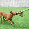 Happy Pet King Kingsize Tug Frostouw