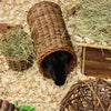Happy Cap Willow Tunnel