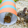 Happy Pet Wilgen Value Pack 2 Sticks 2 Bälle