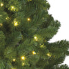 Everlands Weihnachtsbaum Kaiserkiefer180cm + LED beleuchtet