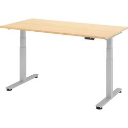 Bach Sitz-Steh-Schreibtisch Hammerer ergonomisch Aktiv XDSM Ahorn