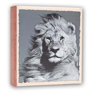 ZEP WL57100 Album Slip-In 100 Fotos 13x19 cm 12 Alben