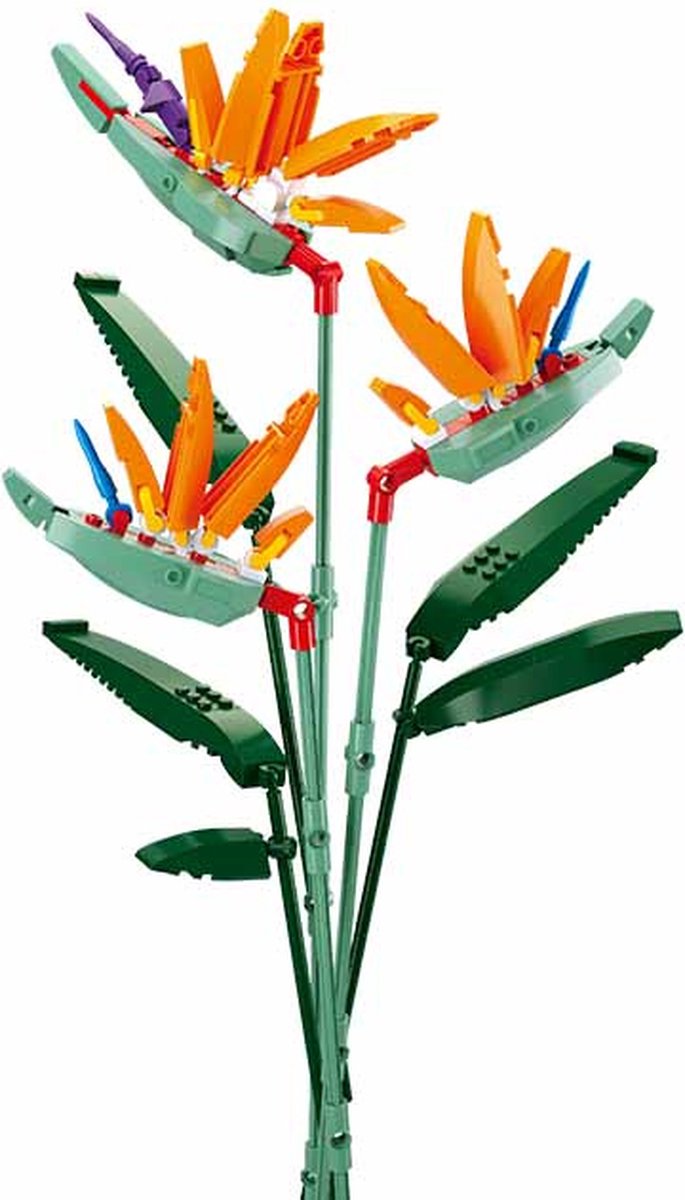 Sluban-Blüten Strelitzia Reginae Aiton (M38-B1121c)