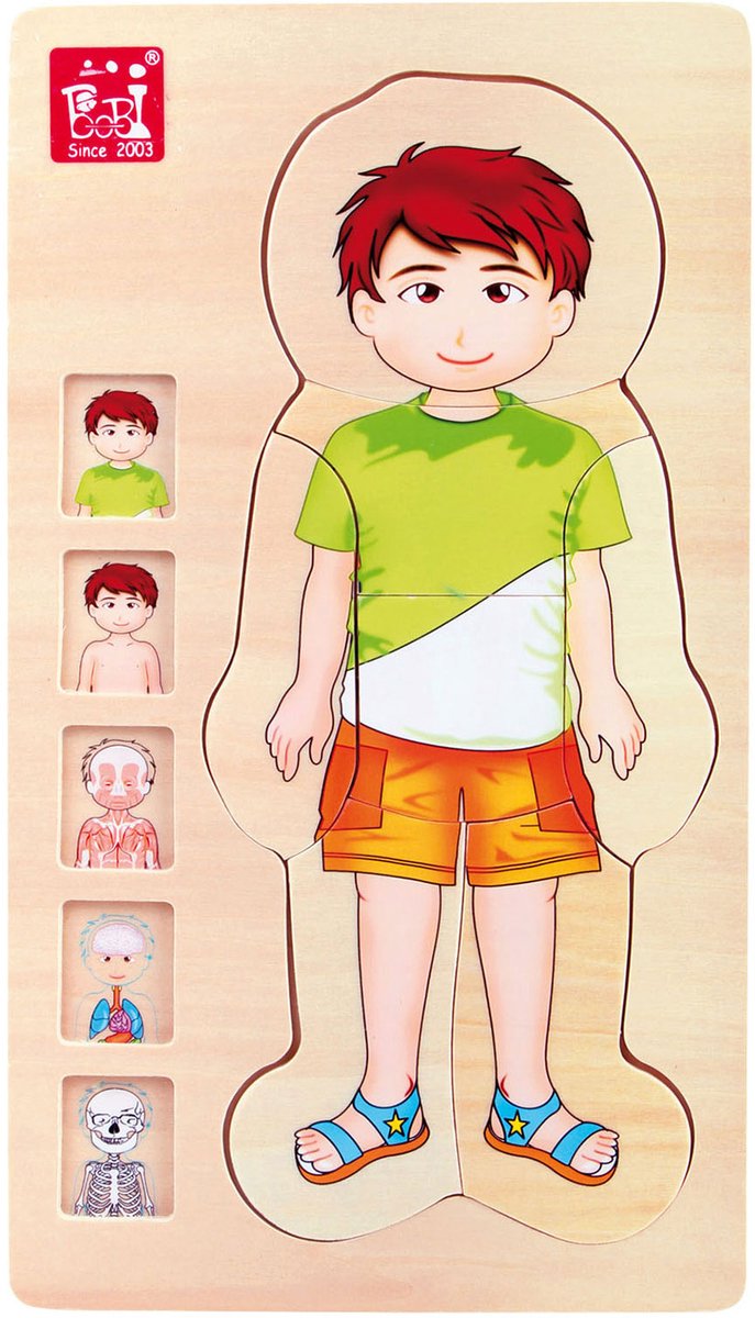 Kleiner Fußhölzer Körper Puzzle Junge, 29.