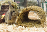 Happy Pet Gray Tunnel - afbeelding 3