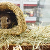 Happy Pet Gray Tunnel