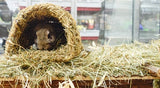 Happy Pet Gray Tunnel - afbeelding 4