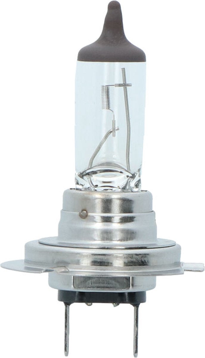 Carpoint Longlife Halogen H7 12V 55W - helles Licht - energieeffizient - universell einsetzbar