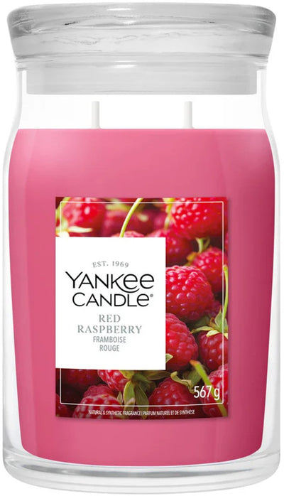Yankee Candle – Duftkerze im großen Glas mit roten Himbeeren – 90 Brennstunden – zwei Dochte