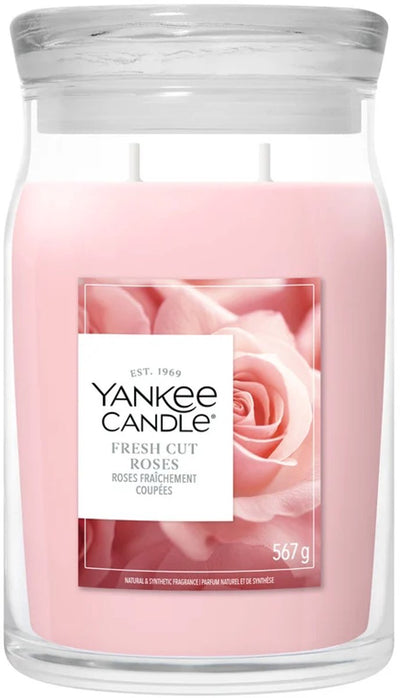 Yankee Candle – Duftkerze mit frischen Schnittrosen im großen Glas – 90 Brennstunden – zwei Dochte