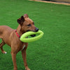 Happy Pet Grubber Interactive Rugbyball