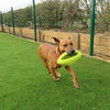 Happy Pet Grubber Interactive Rugbyball