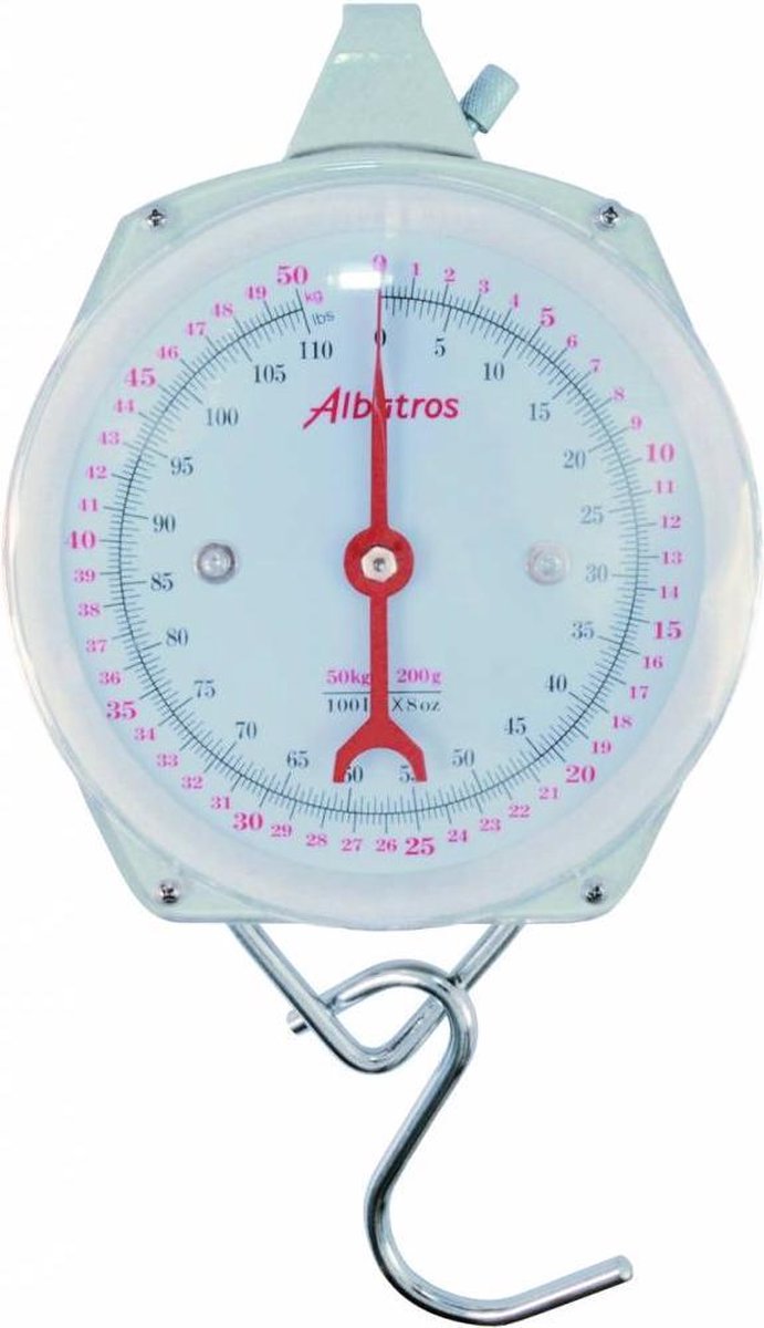 Albatros wiegt die Uhr