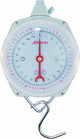 Albatros wiegt die Uhr