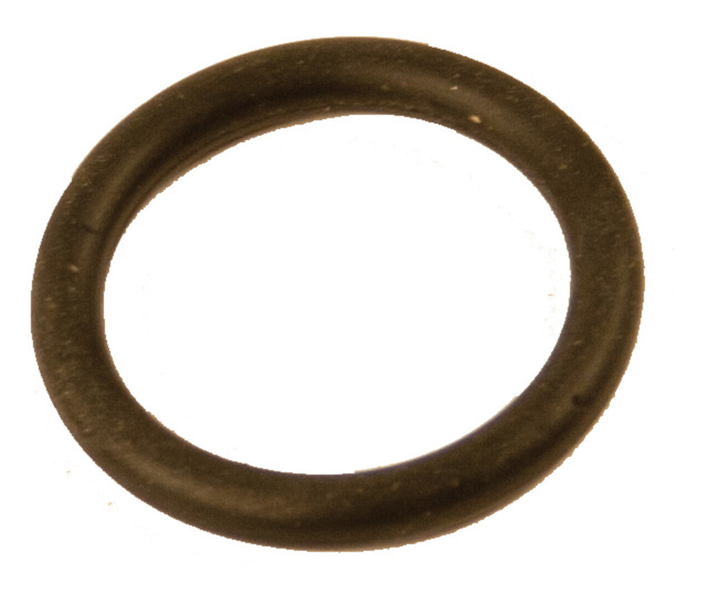 Aqua2go O-Ring-Steuerventil