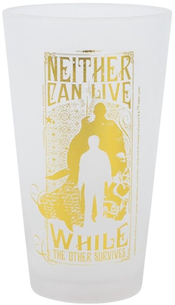 Warner Bros. Entertainment Harry Potter, 2er-Set Gläser 490 ml, Kollektion Golden Magic, elegantes mattes Design, transparent