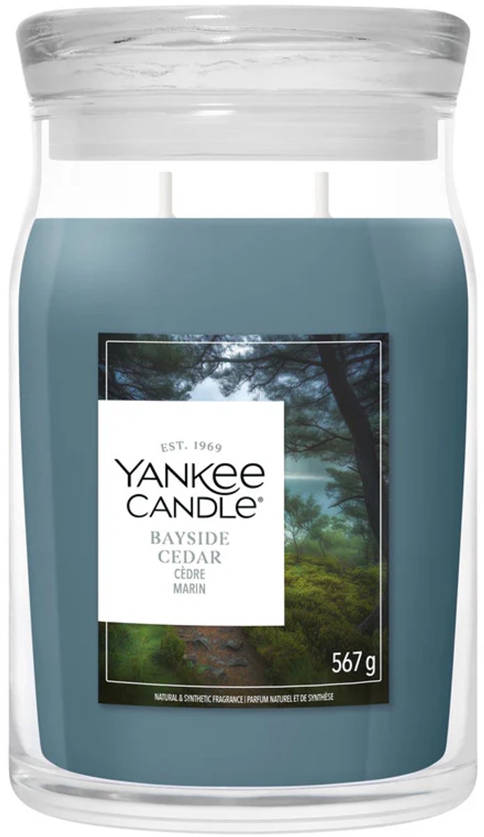 Yankee Candle – Duftkerze im großen Glas aus Bayside-Zedernholz – 90 Brennstunden – zwei Dochte