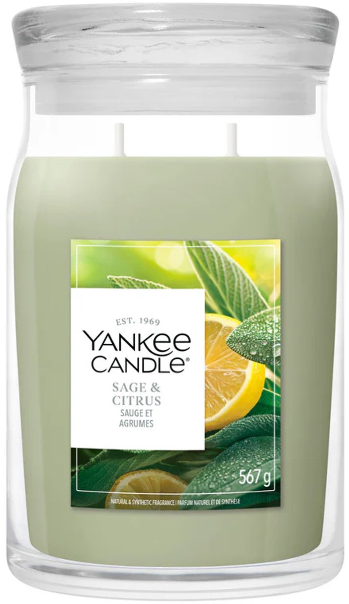 Yankee Candle – Duftkerze im großen Glas mit Salbei- und Zitrusfrüchten – 90 Brennstunden – zwei Dochte