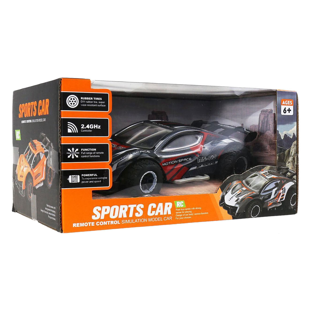 RC-Rennwagen 1:24