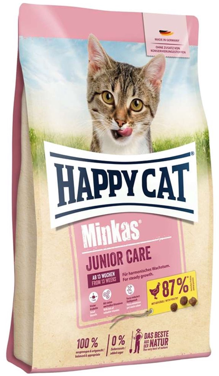 Glückliche Katze