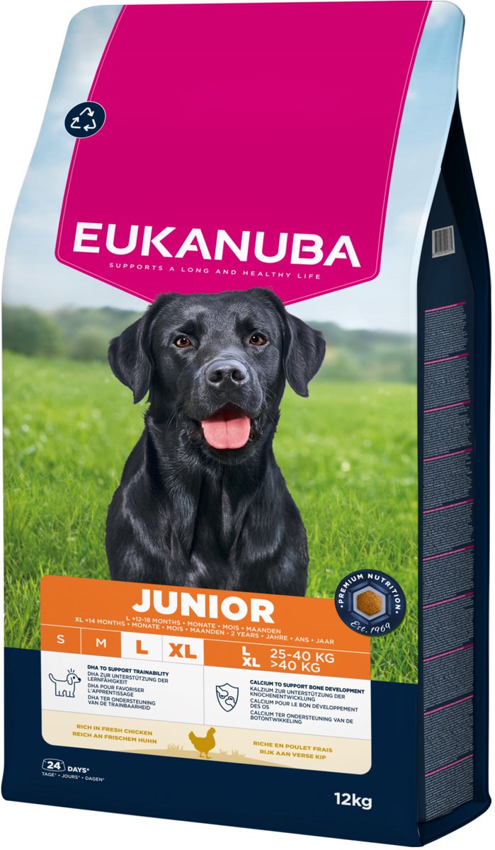 Eukanuba Junior Huhn großer Rassen – Hundefutter – 12 kg