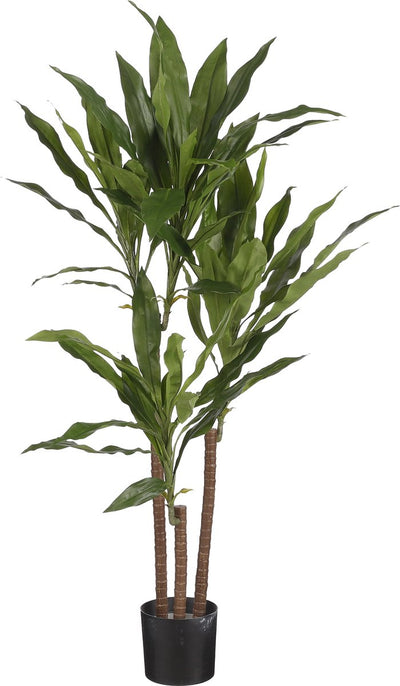 Glimmerdekorationen Kunstpflanze - Dracaena - Grün - im Topf - 100 cm - Kunstpflanzen Kunstpflanzen