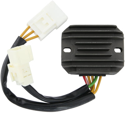 RMS Spannungsregler Spannungsregler 2 Stecker