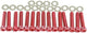 TNT -Schrauben -Set Motorabdeckung Piaggio 50 rot