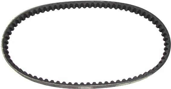 Gates V-Belt-Standard-V-Gebiet 17x769 mm