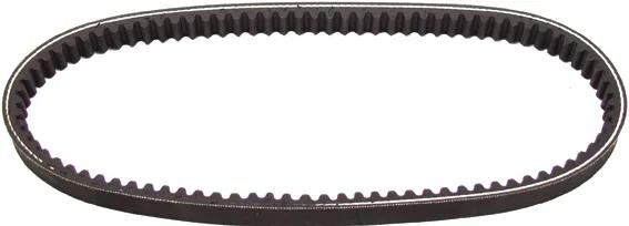 Gates V-Belt Standard V-G-Geile 15,3 x 652 mm