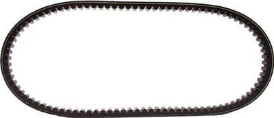 Polini Keilriemen verstärkt versteift Keilriemen versteift. 22x834mm