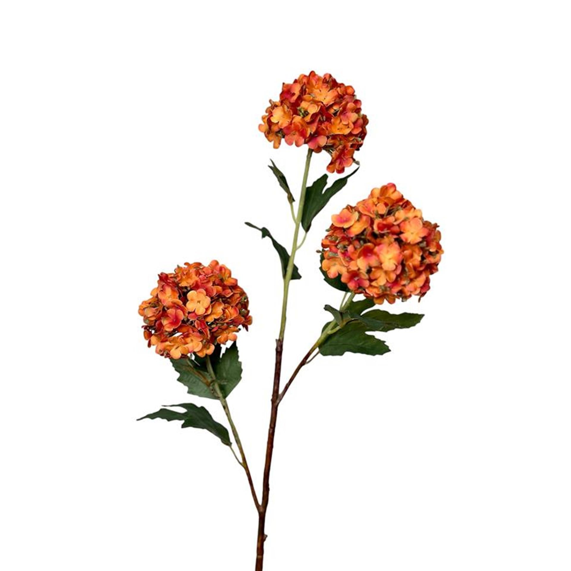Roberts Collection Kunstblumen-Schneeball, 90 cm, Orange