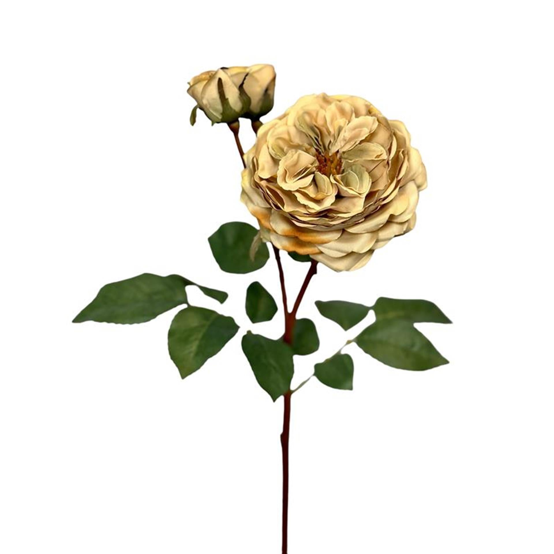 Künstliche Blumenrose aus der Roberts-Kollektion, 55 cm, cremefarben