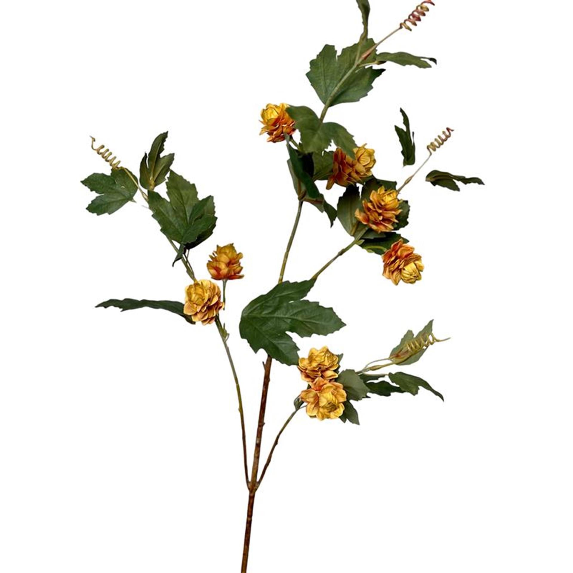 Roberts Collection Kunstblume Hopfenzweig 85 cm ockergelb