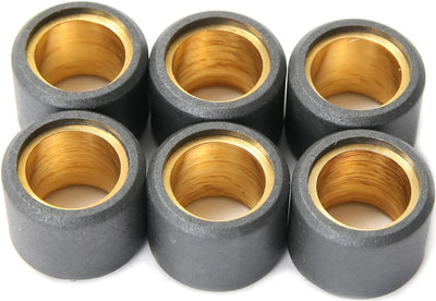 Vicma Variator-Gewichtsrollenkern-Set 19 x 13,5, 10 g, 6 Stück, 4177