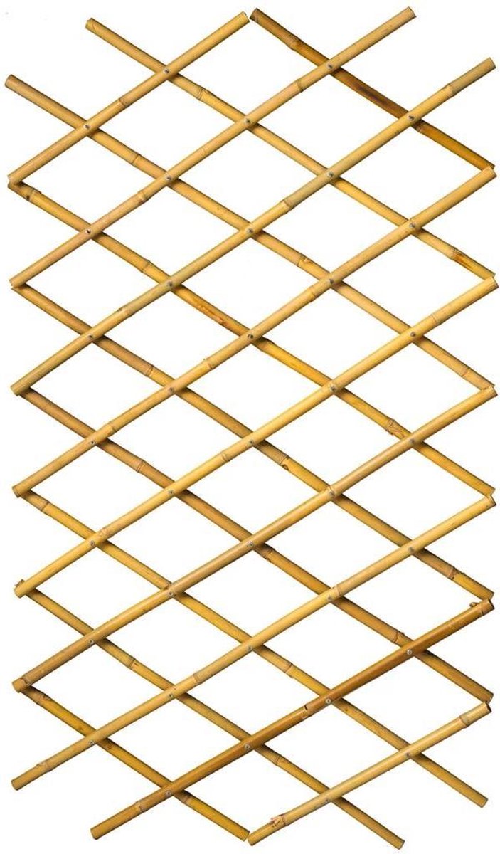 Nature Nature Latwerk für Garten 70x180 cm Bambus 6040721